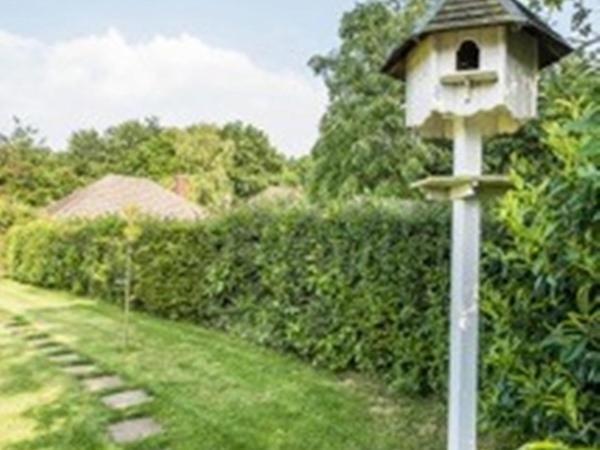 Knole B&B Sevenoaks Luaran gambar